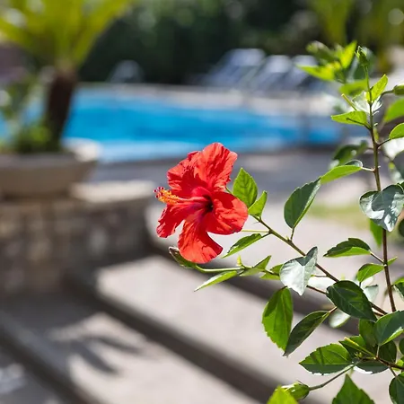 Gargiulo B&B 4*